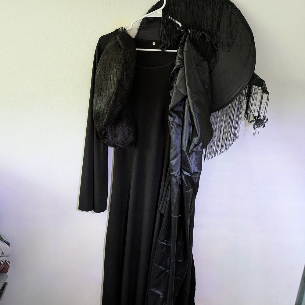 Witch Costume Complete with Wig And Accessories